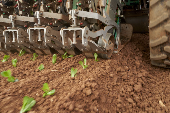 Plant Tape Australia
