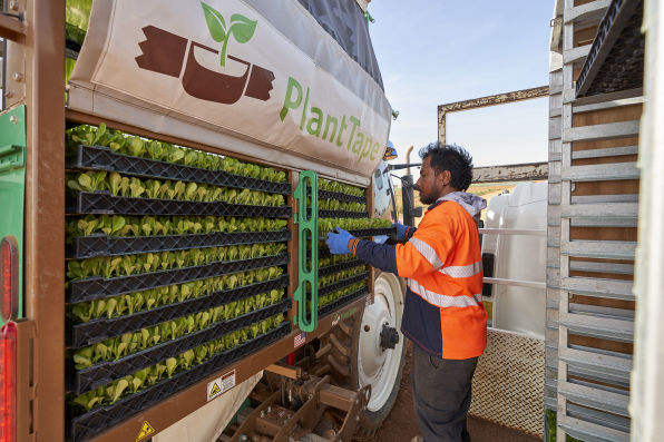 Plant Tape Australia